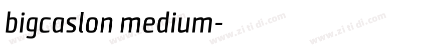 bigcaslon medium字体转换
